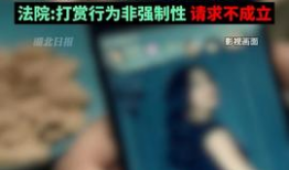 黄色免费视频,暗藏的风险与警示